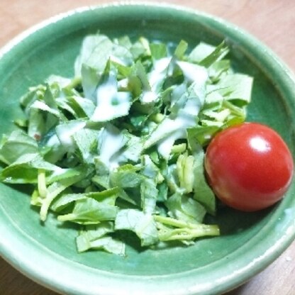 初めて空芯菜を栽培したので、
まだ食べ方がわからず⋯
生でも食べられるのですね〜♪
シーザーサラダドレッシングで食べてみました。
食べやすかったです(*^^*)